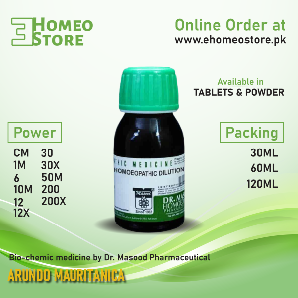Image of Arundo Mauritanica by Dr. Masood Pharma