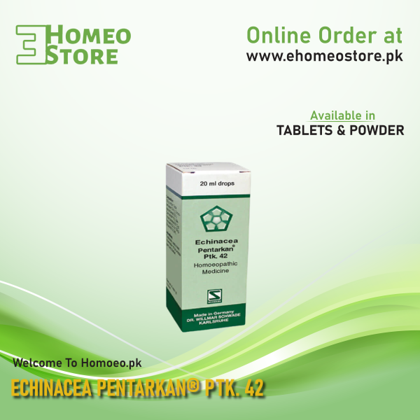 Echinacea Pentarkan® Ptk. 42