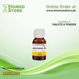 Abrotanum