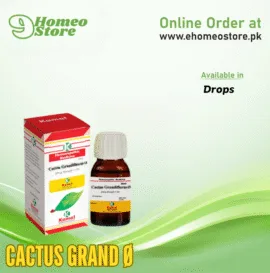 Kamal CACTUS GRAND Ø