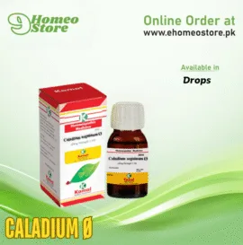 Kamal CALADIUM Ø