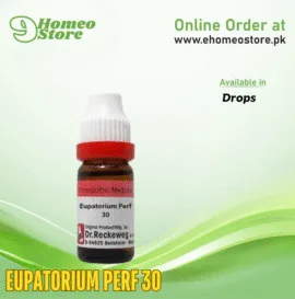 Reckweg Eupatorium Perf 30