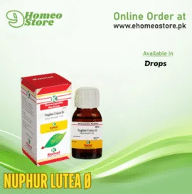 Kamal NUPHUR LUTEA Ø