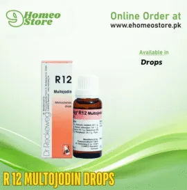 Reckweg R 12 Multojodin Drops
