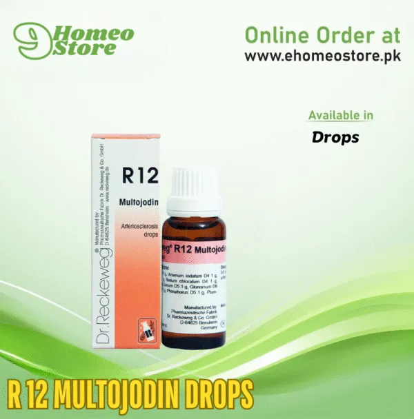 Reckweg R 12 Multojodin Drops