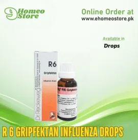 Reckweg R 6 Gripfektan Influenza Drops