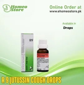 Reckweg R 9 Jutussin Cough Drops