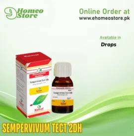 Kamal SEMPERVIVUM TECT 2DH