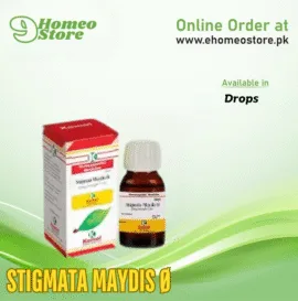 Kamal STIGMATA MAYDIS Ø