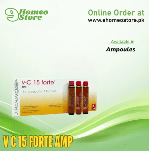 V C 15 Forte Amp