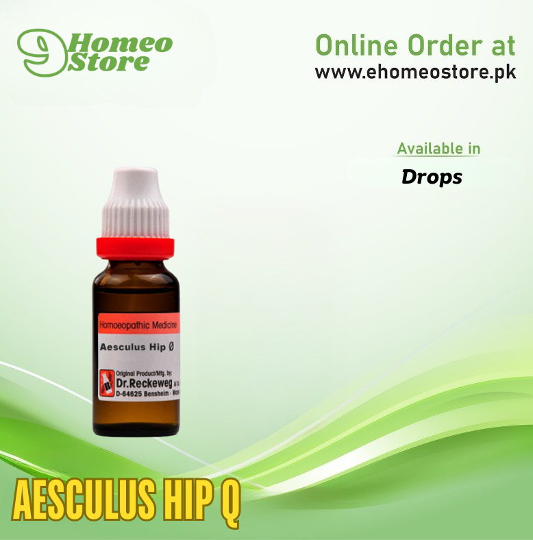 Aesculus Hip Q 20 ml by Reckeweg