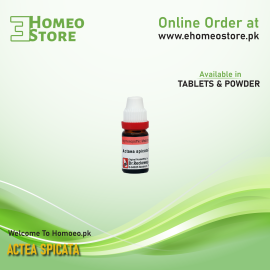 Actea spicata