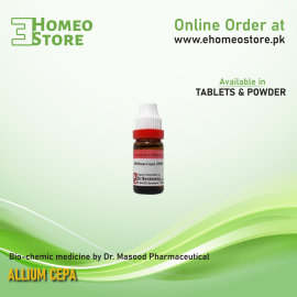 Allium cepa