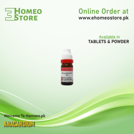 Anacardium