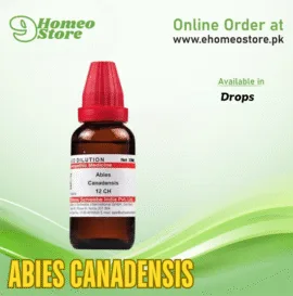 Abies Canadensis