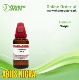 Abies Nigra