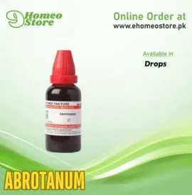 Abrotanum