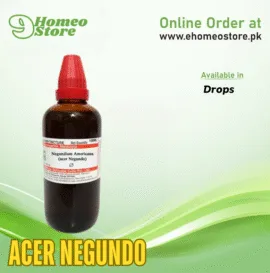 Acer Negundo