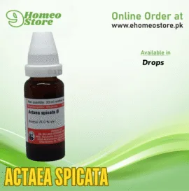 Actaea Spicata