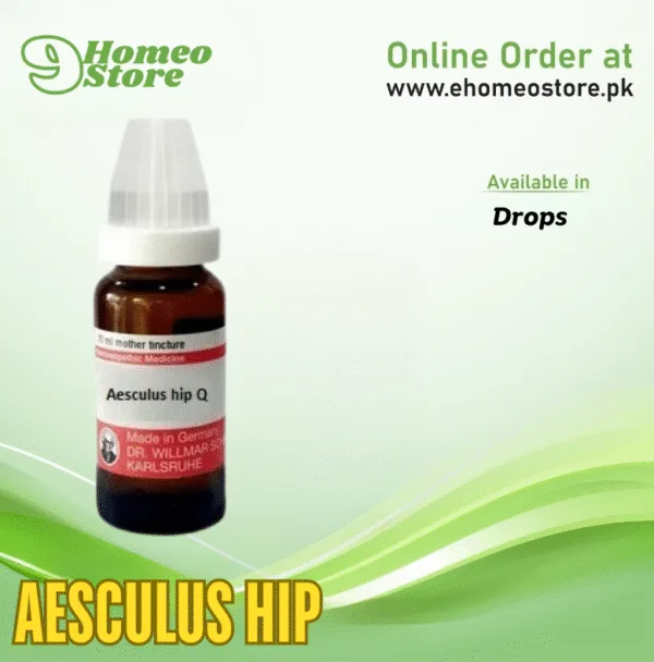 Aesculus Hip
