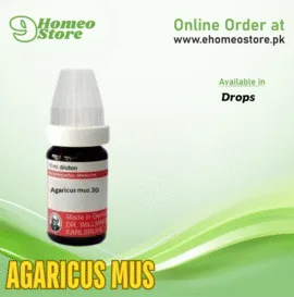 Agaricus Mus