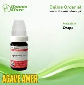 Agave Amer