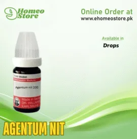 Agentum Nit