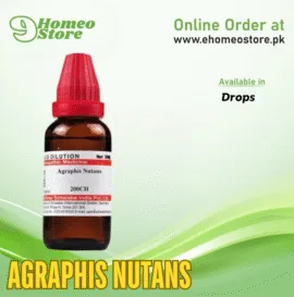 Agraphis Nutans