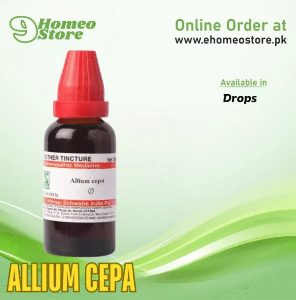 Allium Cepa
