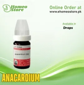 Anacardium