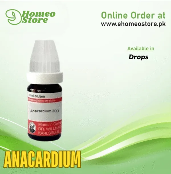 Anacardium