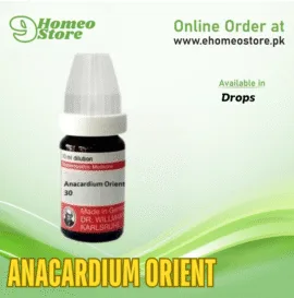Anacardium Orient