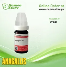 Anagallis