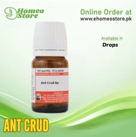 Ant Crud