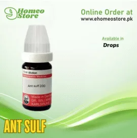 Ant Sulf