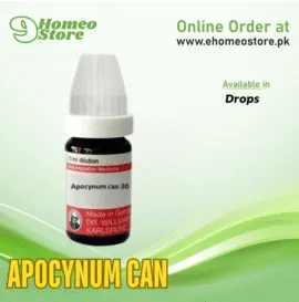 Apocynum Can