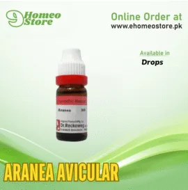 Aranea Avicular
