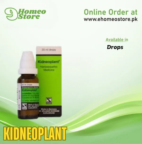 Kidneoplant
