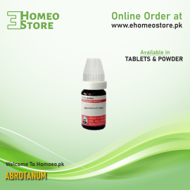 Abrotanum