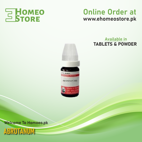Abrotanum
