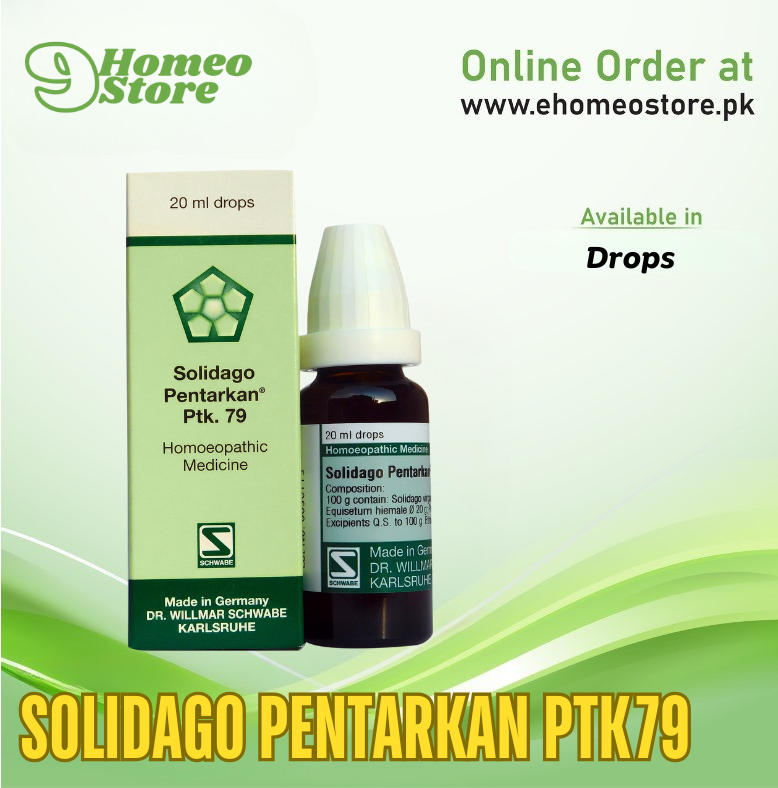 Solidago Pentarkan® Ptk. 79 by Schwabe