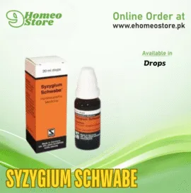 Syzygium Schwabe