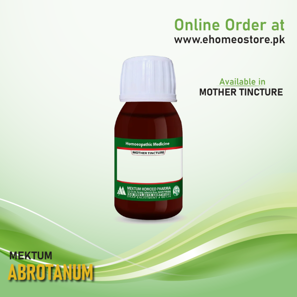 Abrotanum