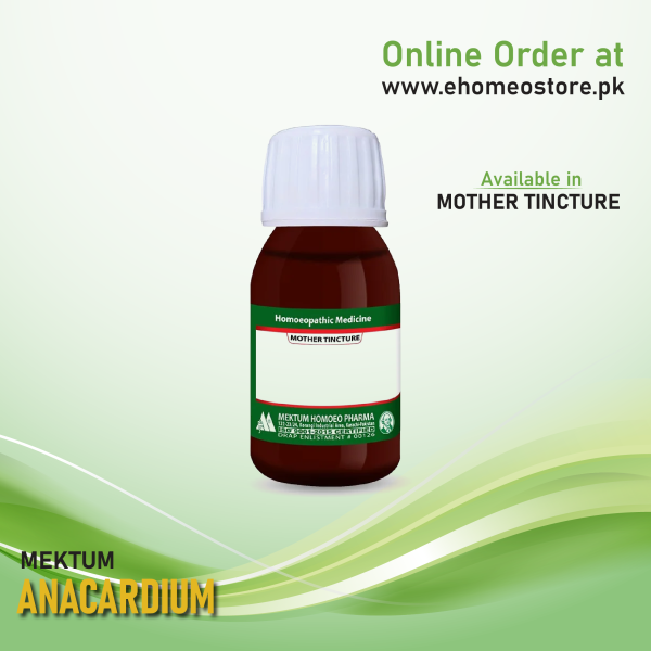 Anacardium