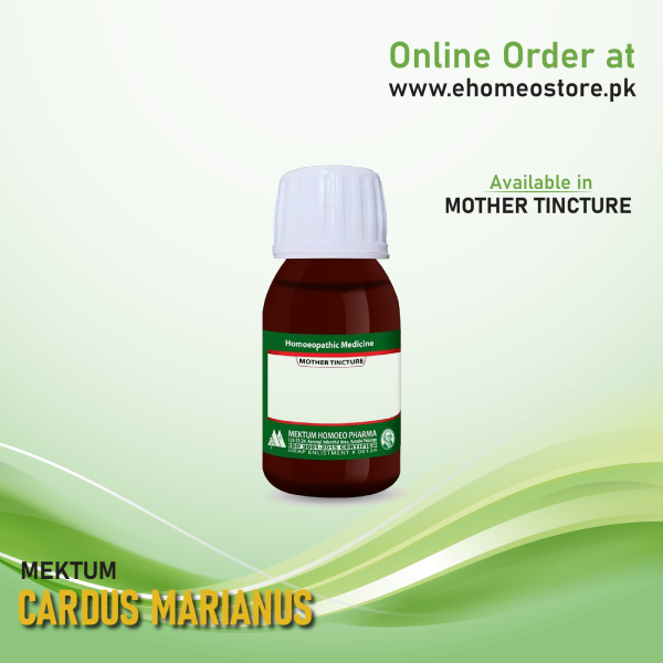 Cardus Marianus