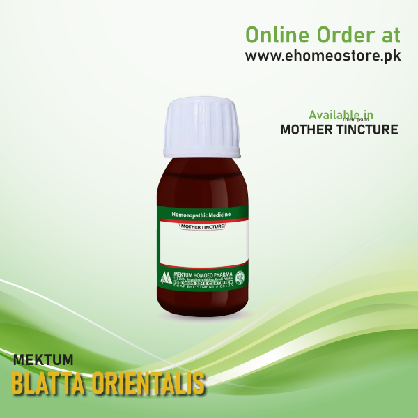 Blatta Orientalis