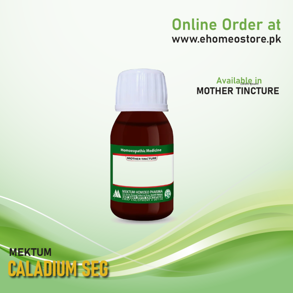 Caladium Seg