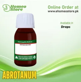 Abrotanum