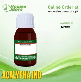 Acalypha Ind