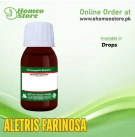 Aletris Farinosa
